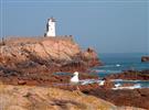 Bréhat