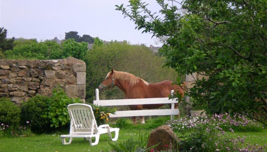 hotel vue mer Ploubazlanec - Relais de Launay - L'Arcouest, Paimpol, Bréhat